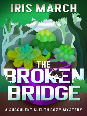 cover image of The Broken Bridge